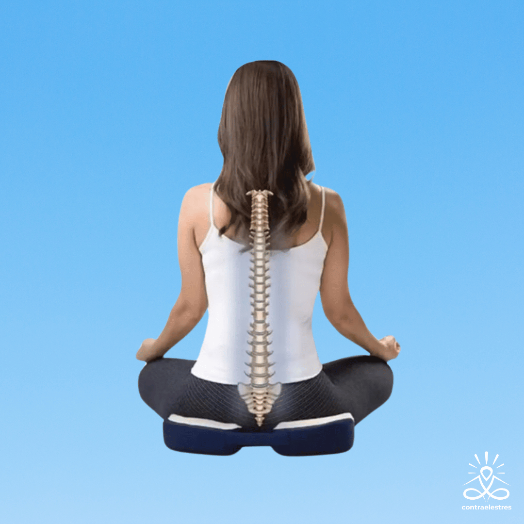 Cojín Viscoelástico Lumbar Coxis Para Sentarse